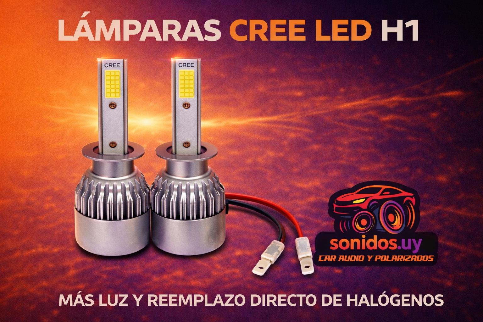 Más opciones de car audio